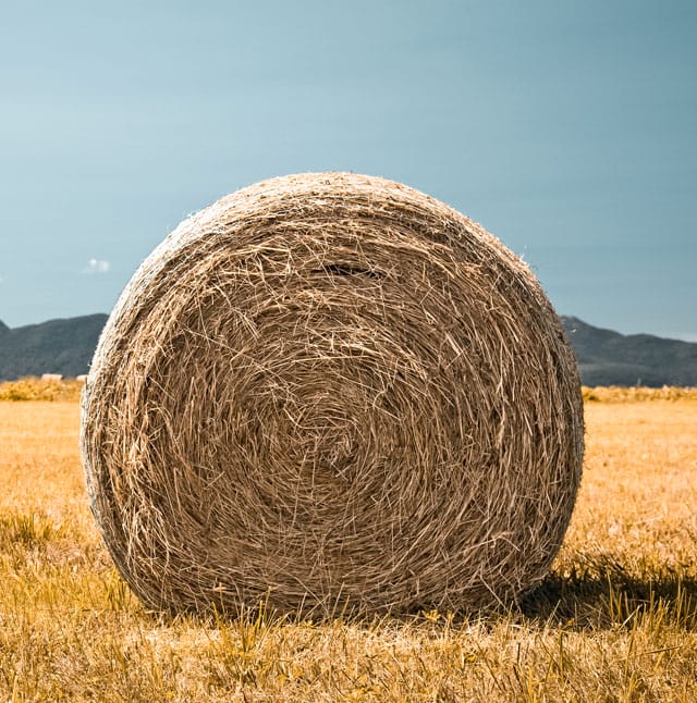 Hay Bale In Field