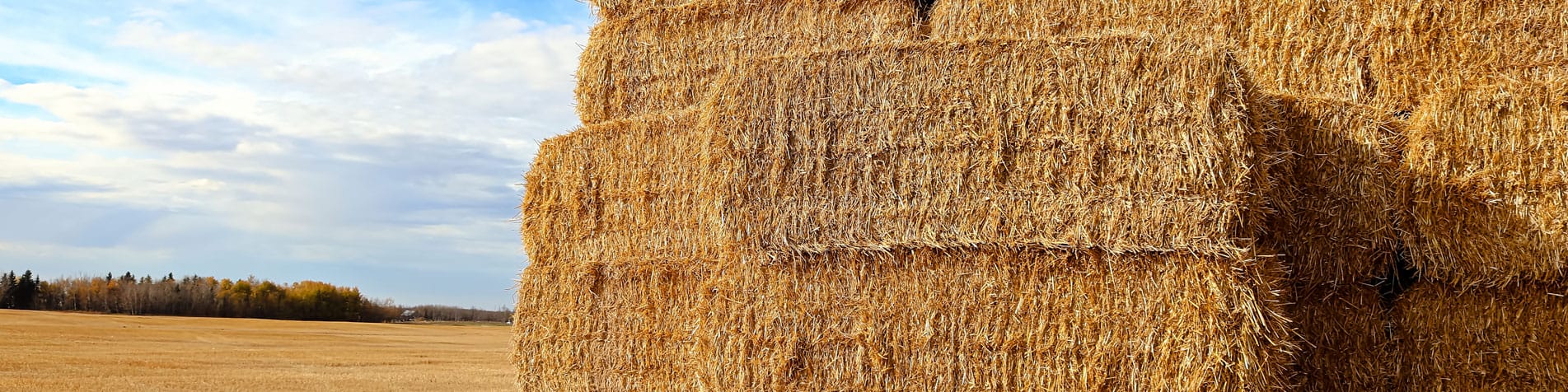 Stack Of Hay Bales