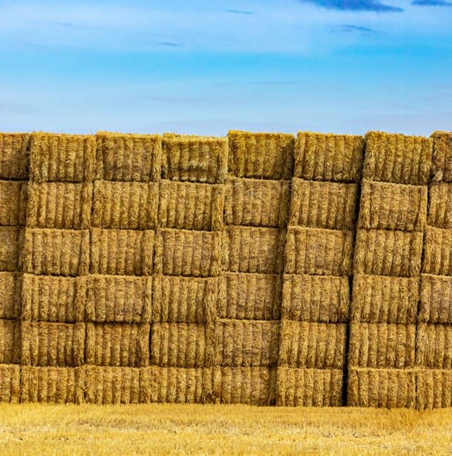 Stack Of Hay