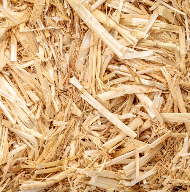 Straw Up Close